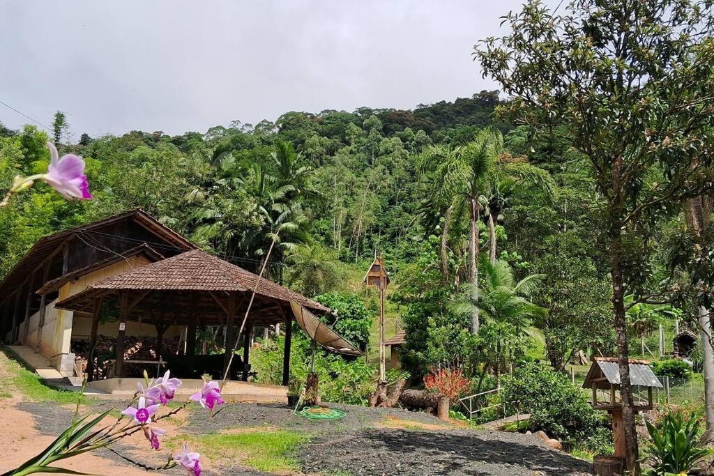 Sitio Som Das Aguas Benedito Novo Esterno foto