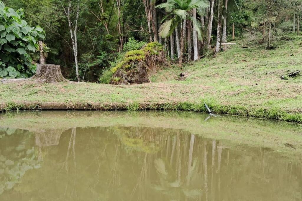 Sitio Som Das Aguas Benedito Novo Esterno foto