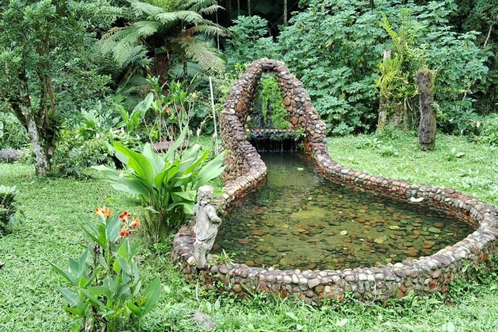 Sitio Som Das Aguas Benedito Novo Esterno foto