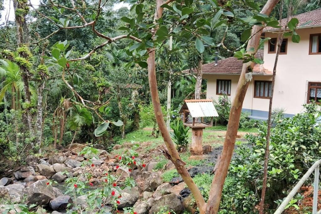 Sitio Som Das Aguas Benedito Novo Esterno foto