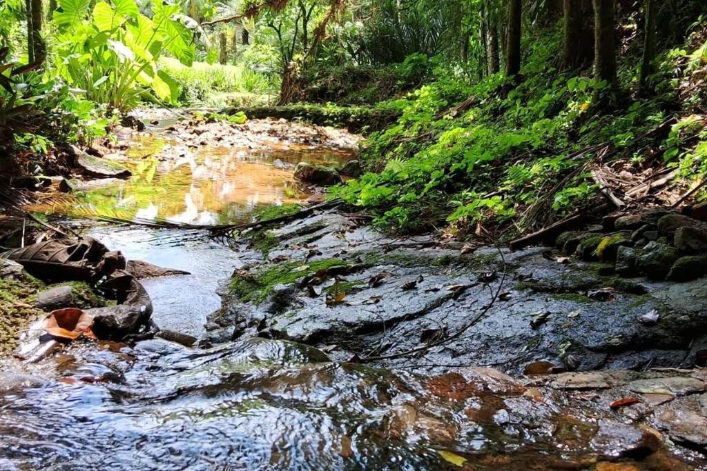 Sitio Som Das Aguas Benedito Novo Esterno foto