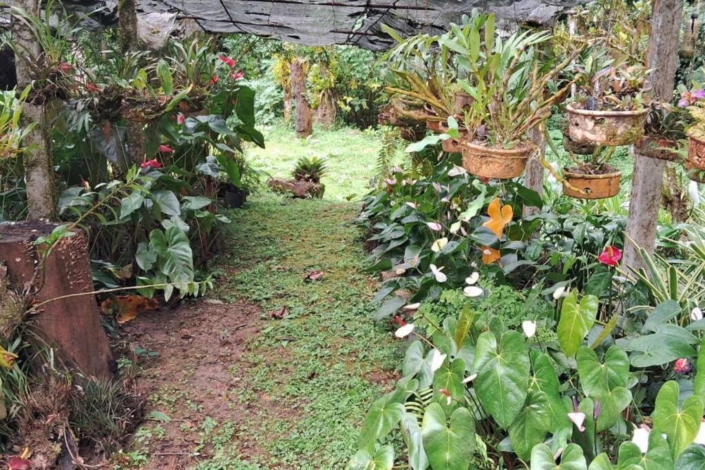 Sitio Som Das Aguas Benedito Novo Esterno foto