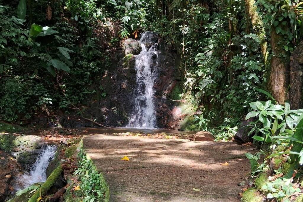 Sitio Som Das Aguas Benedito Novo Esterno foto