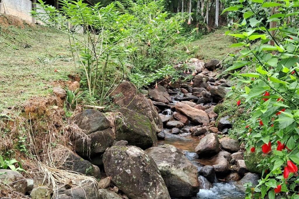 Sitio Som Das Aguas Benedito Novo Esterno foto