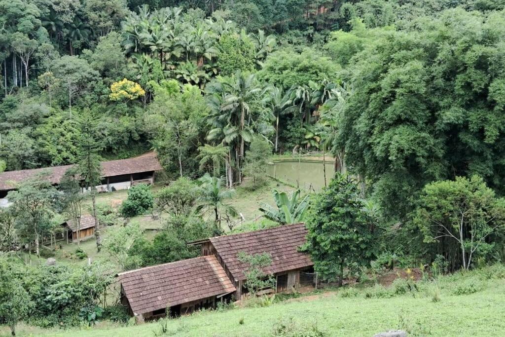 Sitio Som Das Aguas Benedito Novo Esterno foto