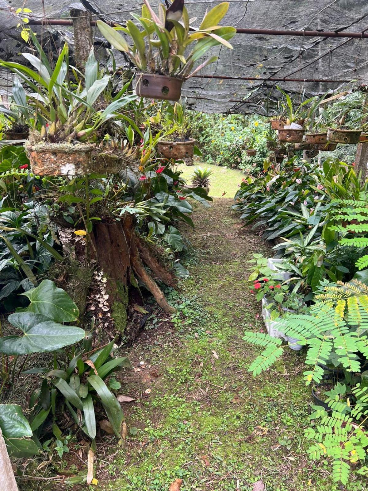 Sitio Som Das Aguas Benedito Novo Esterno foto