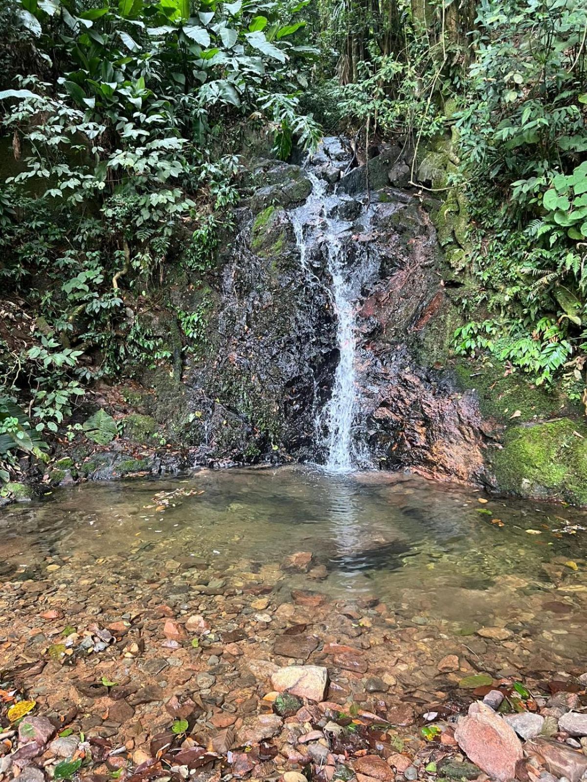 Sitio Som Das Aguas Benedito Novo Esterno foto