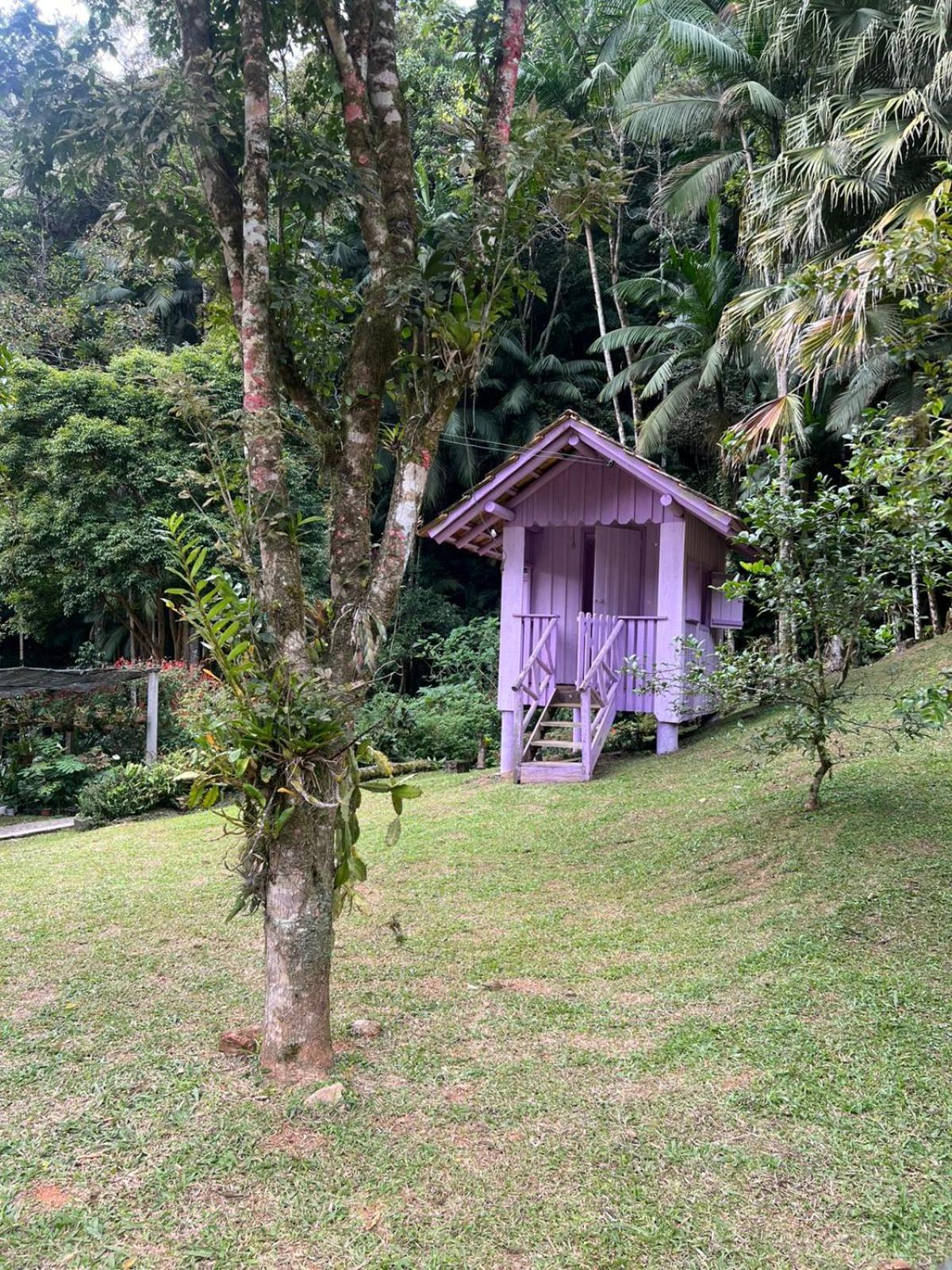 Sitio Som Das Aguas Benedito Novo Esterno foto