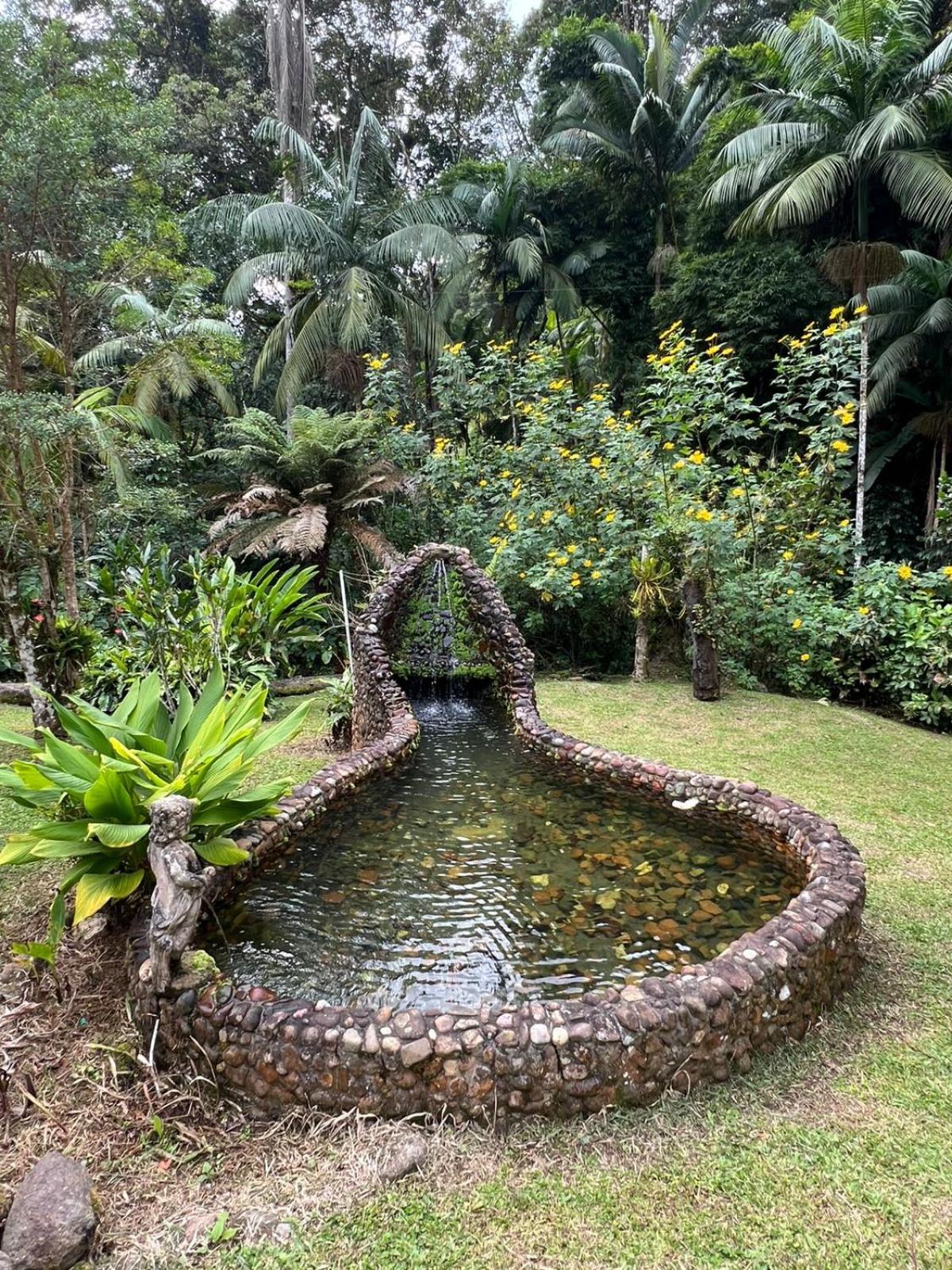 Sitio Som Das Aguas Benedito Novo Esterno foto