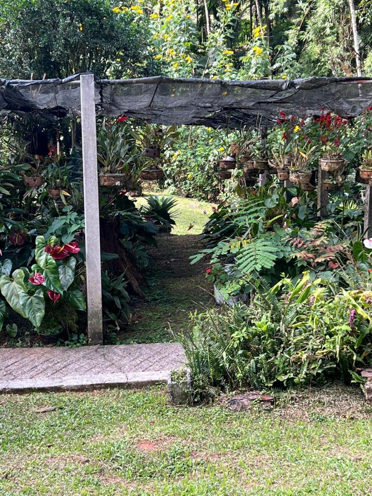 Sitio Som Das Aguas Benedito Novo Esterno foto